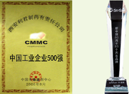 中國工業(yè)企業(yè)500強(qiáng)